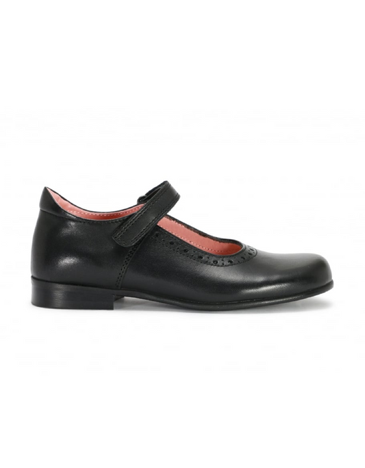 Petasil Tanya Black